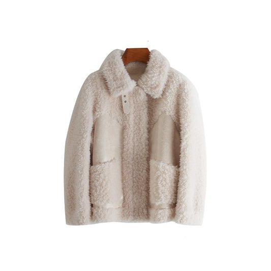 Women's Sheep Shearling Teddy Jacket